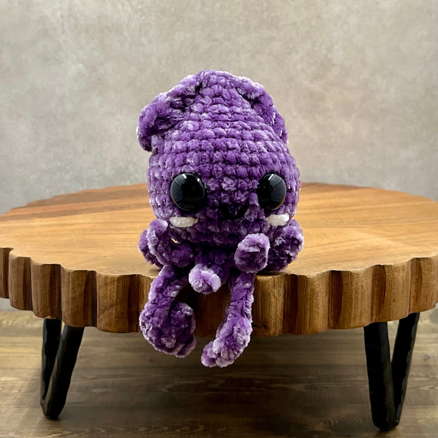 Velvet Squid