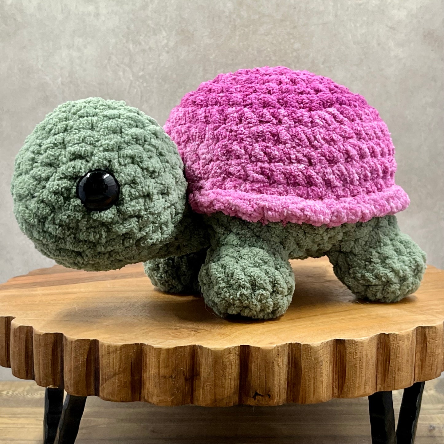 Large Land Turtle