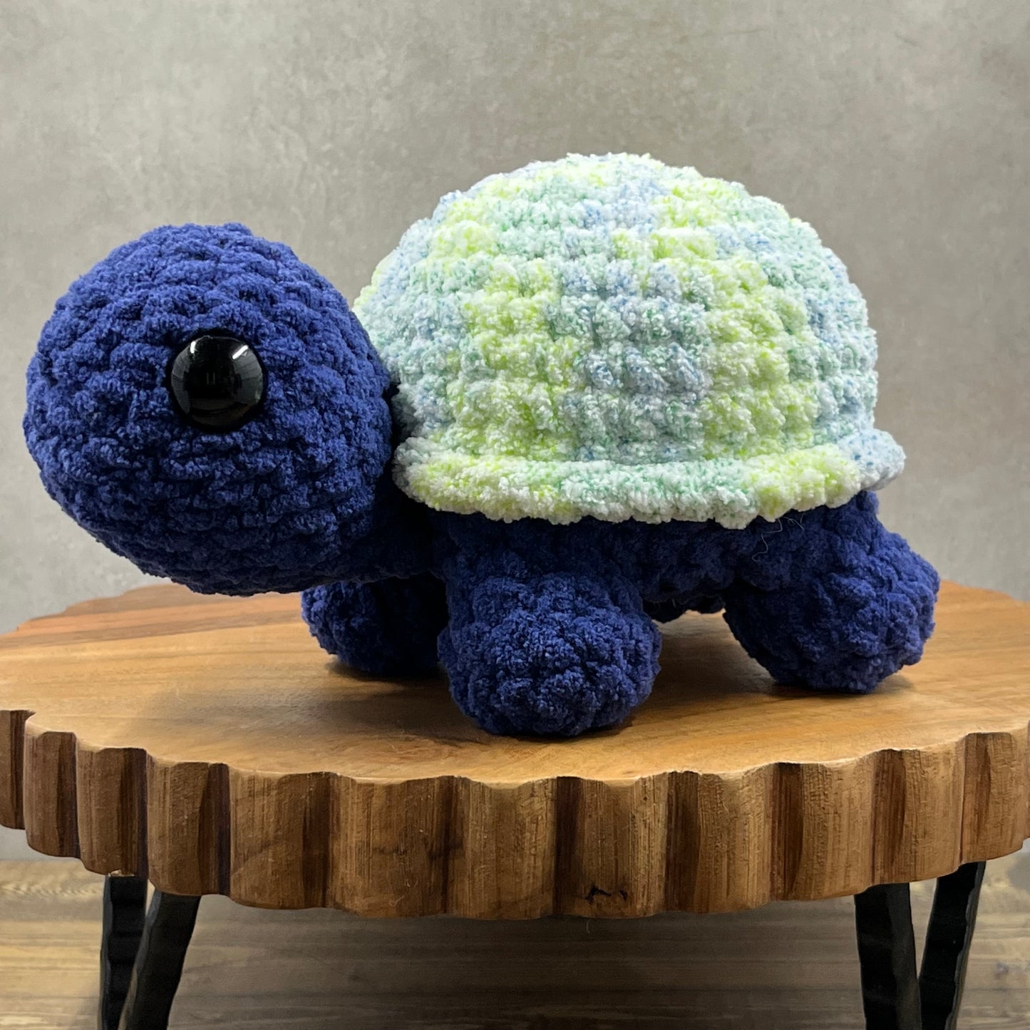 Large Land Turtle